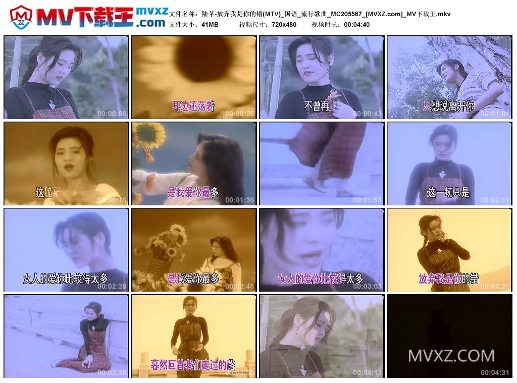 陆苹-放弃我是你的错(MTV)_国语_流行歌曲_MC205567